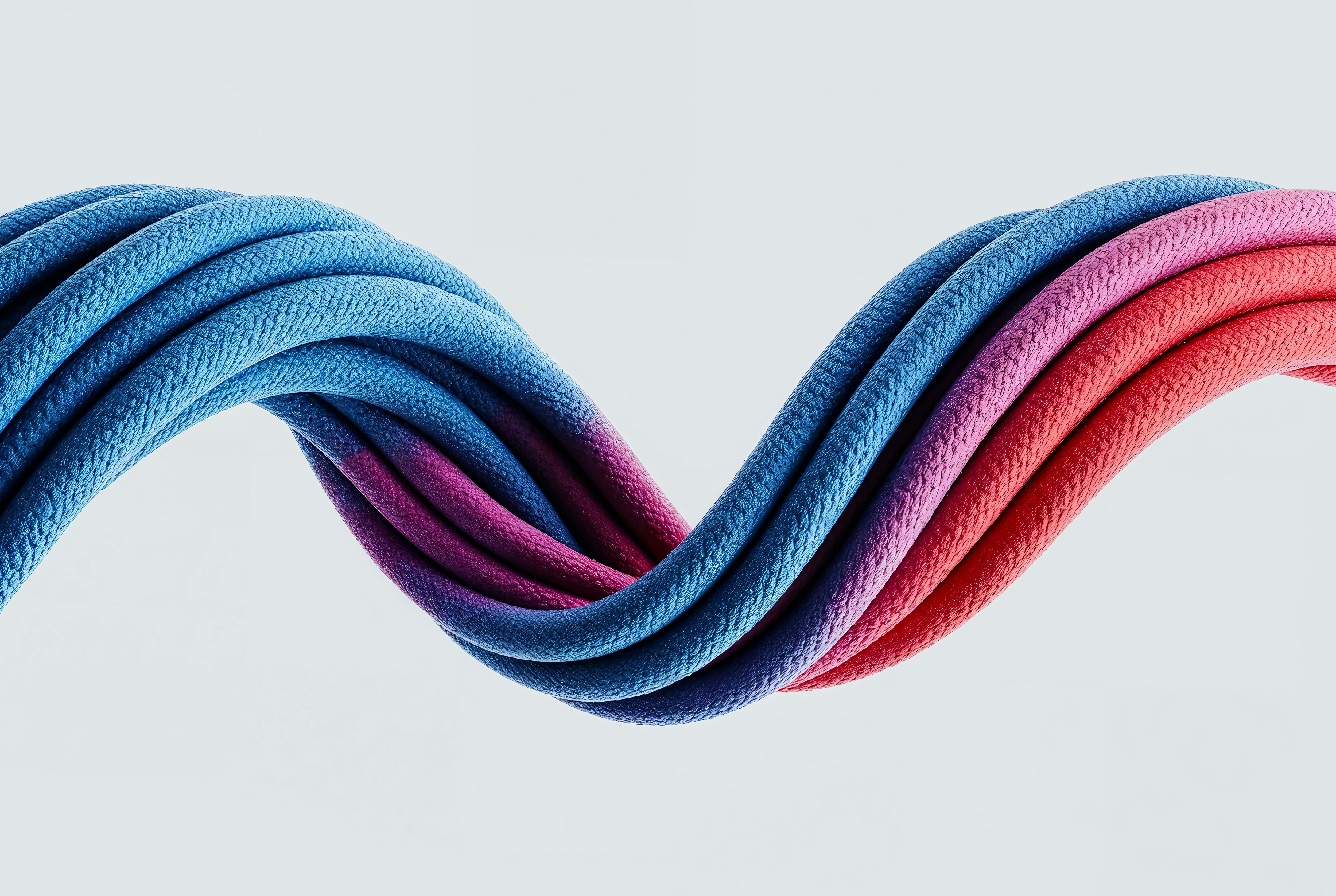 Elastics and draw cords